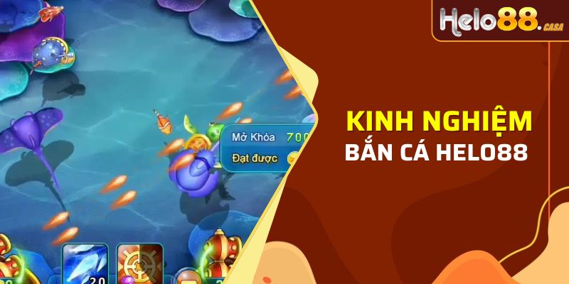 Tìm hiểu một vài kinh nghiệm hay của các cao thủ